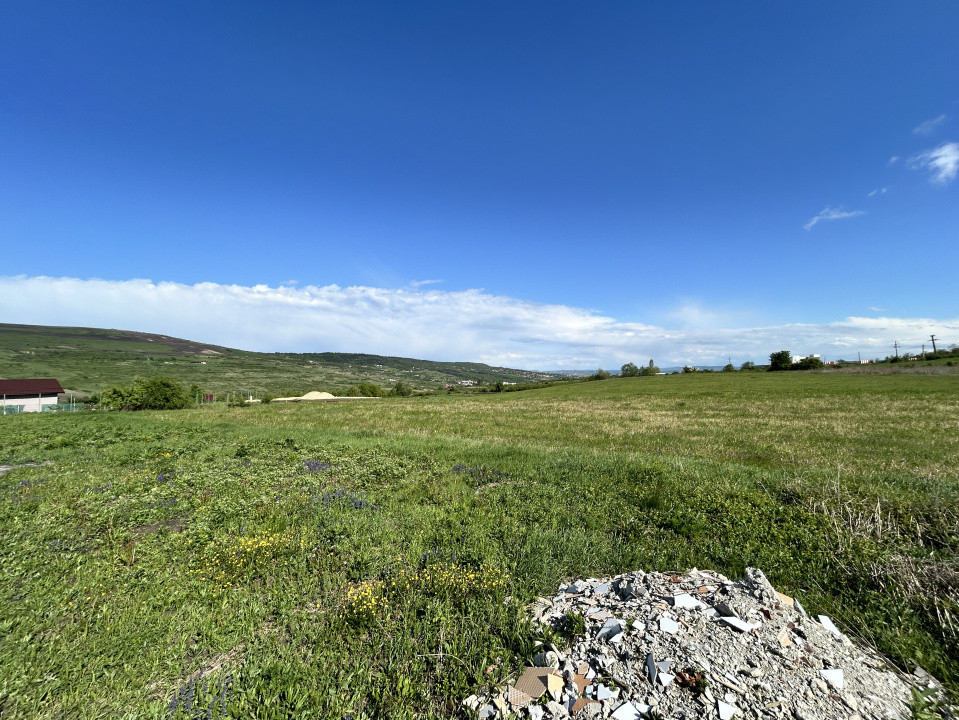 Teren Valea Chintaului / Cluj 5.547mp  parcelabil 