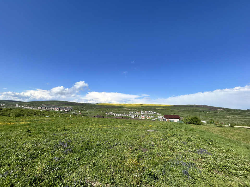 Teren Valea Chintaului / Cluj 5.547mp  parcelabil 