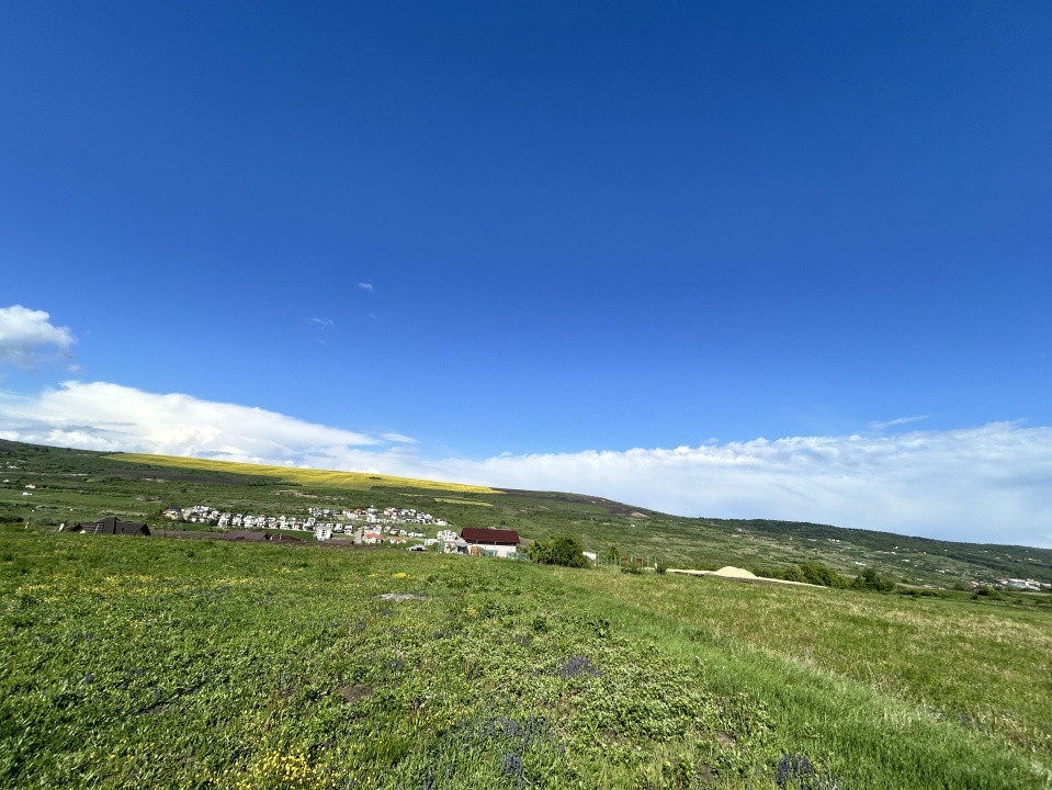 Teren Valea Chintaului / Cluj 5.547mp  parcelabil 