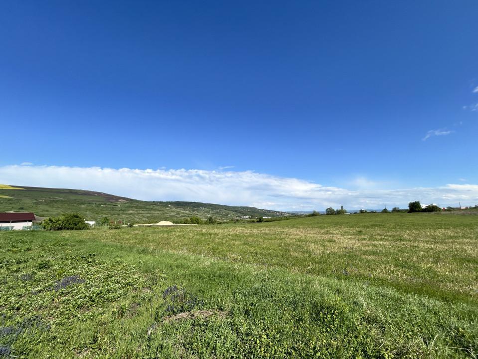 Teren Valea Chintaului / Cluj 5.547mp  parcelabil 