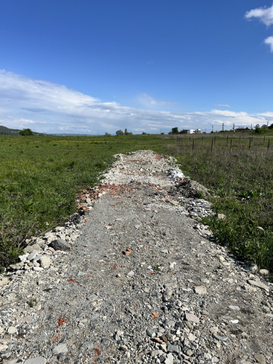 Teren Valea Chintaului / Cluj 5.547mp  parcelabil 