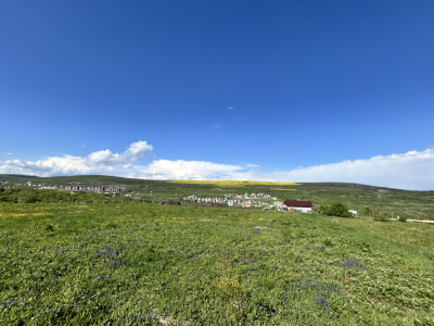 Teren Valea Chintaului / Cluj 5.547mp  parcelabil 