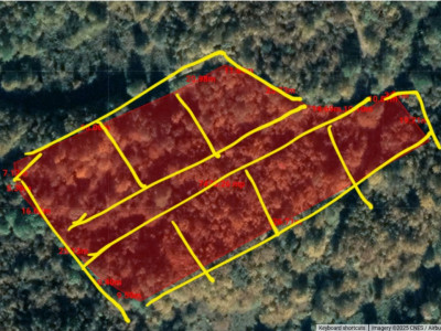 INVESTITIE! 7 Parcele teren extravilan Baisoara, jud. Cluj!