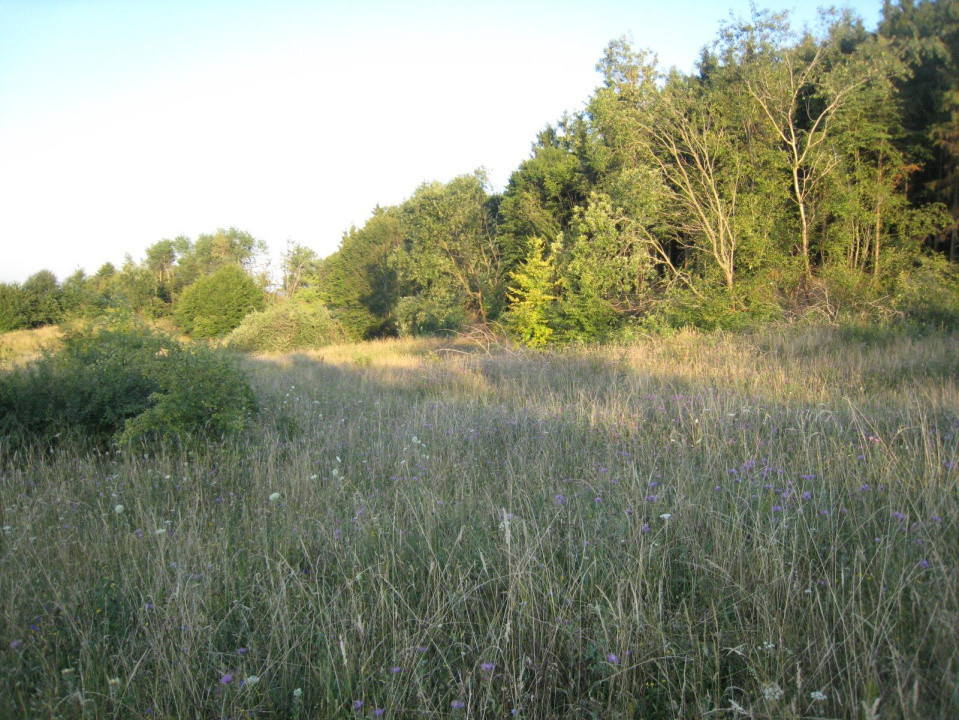 INVESTITIE! Teren intravilan 5700mp - Chinteni, jud Cluj!