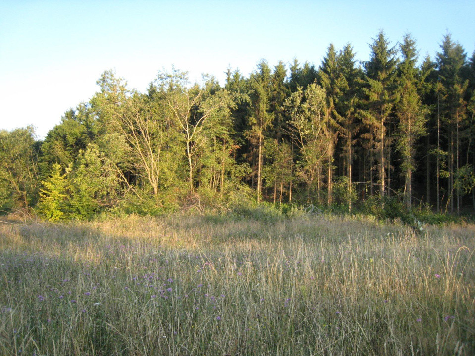 INVESTITIE! Teren intravilan 5700mp - Chinteni, jud Cluj!