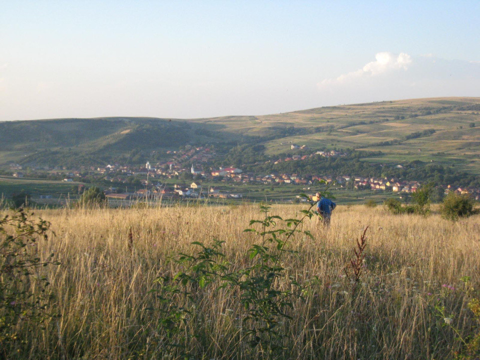 INVESTITIE! Teren intravilan 5700mp - Chinteni, jud Cluj!