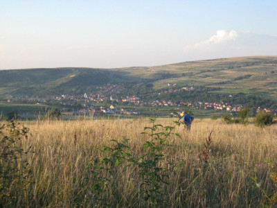 INVESTITIE! Teren intravilan 5700mp - Chinteni, jud Cluj!