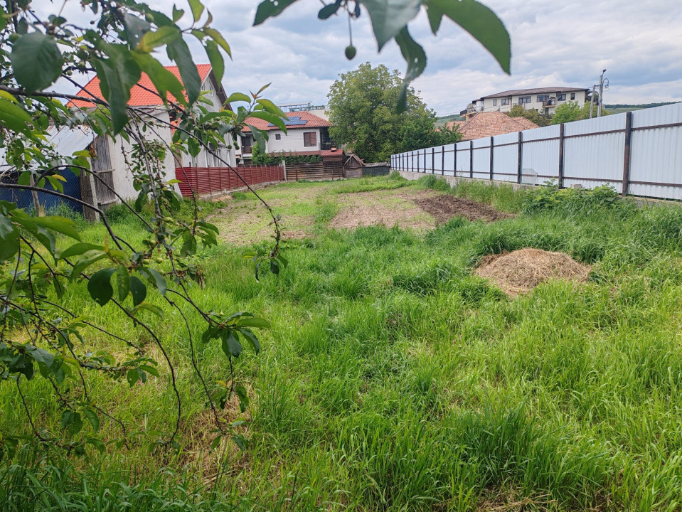 Teren pentru investitie, 700 mp, zona centrala, Avram Iancu.