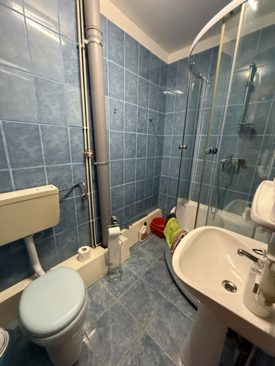 Cabana 5 dormitoare - 138.6 mp utili - 386 mp teren - Baisoara!