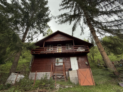 Cabana 5 dormitoare - 138.6 mp utili - 386 mp teren - Baisoara!