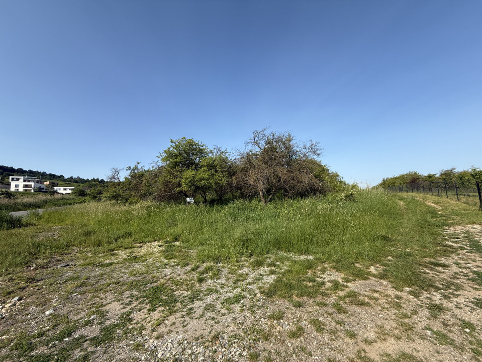 INVESTITIE! Teren extravilan - 1050 mp - zona Wonderland , Cluj!