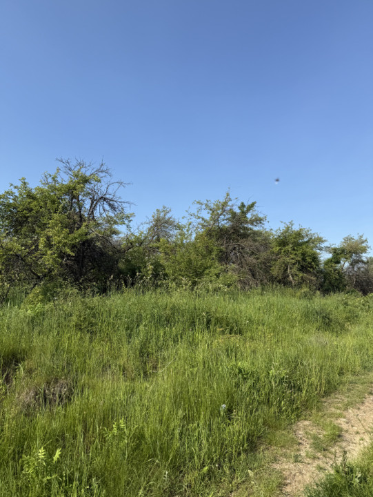 INVESTITIE! Teren extravilan - 1050 mp - zona Wonderland , Cluj!