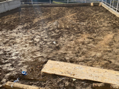 Apartament cu 3 camere, 68 mp grădină privată de 125 mp, spatiu si confort