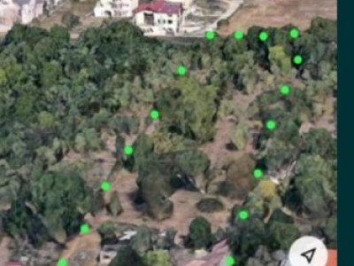 Teren intravilan 6.500 mp – ideal pentru dezvoltare rezidențială, Iris