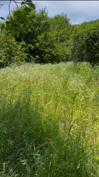 Teren 2.700mp cu PUZ în lucru pentru 3 unități locative