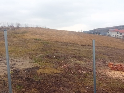 INVESTITIE! Teren intravilan 700 mp - toate utilitatile - Popesti!