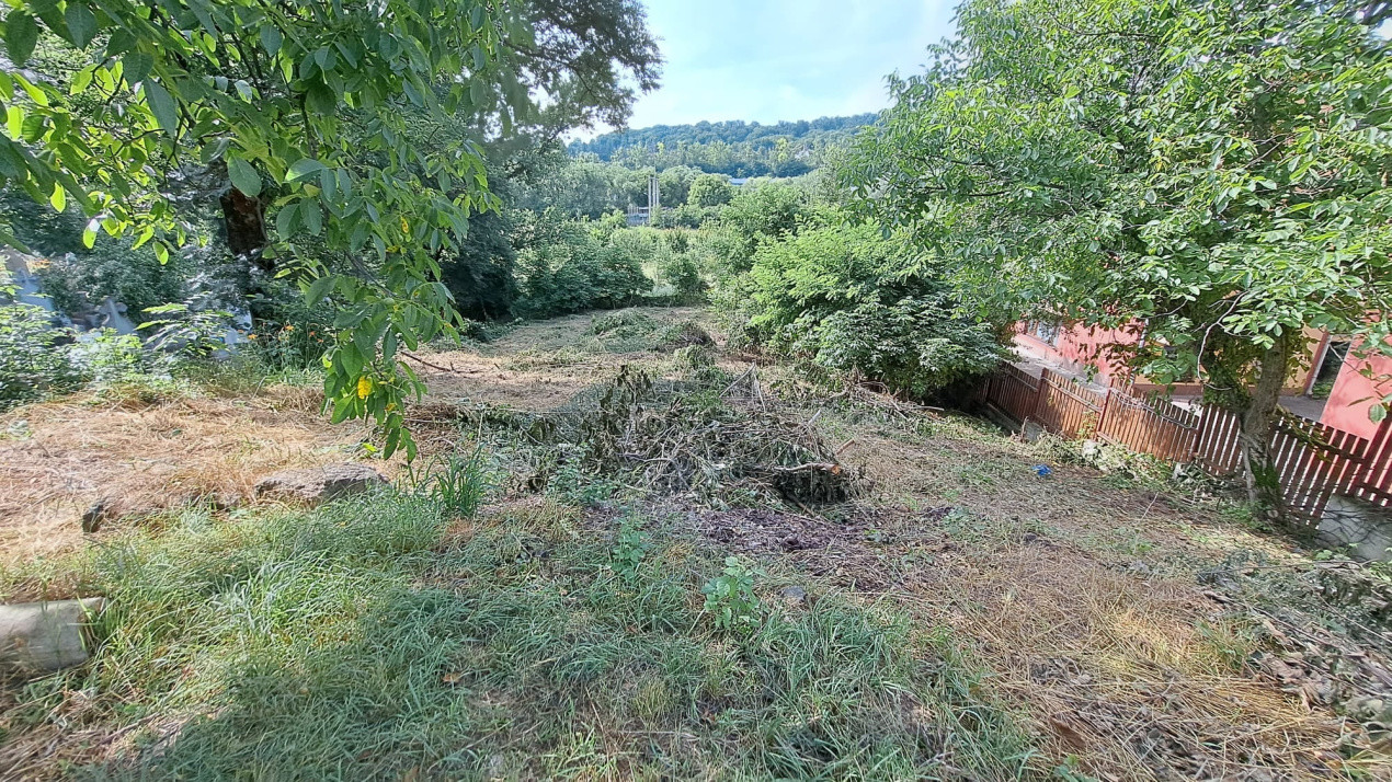 Teren pentru Casa/Duplex 1000mp Dambul Rotund/Cordos 