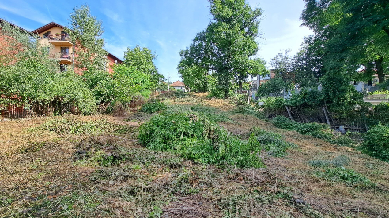 Teren pentru Casa/Duplex 1000mp Dambul Rotund/Cordos 