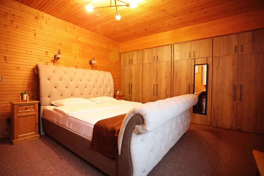 Casa de vacanta ,228 mp utili, piscina exterioara , Baisoara