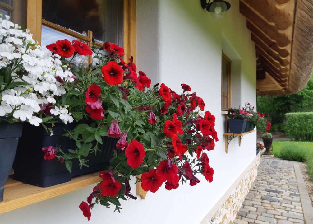 Casa in stil Taditional Romanesc , 170 mp, curte 500mp, strada privata 