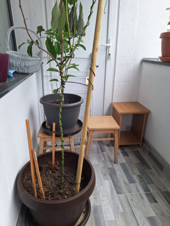 Apartament cu 2 camere, 46 mp, balcon, zona Eroilor