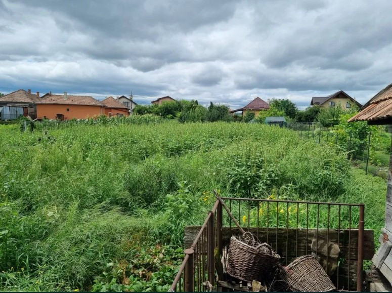 Teren generos 1411 mp cu casă veche și utilități în centrul Apahidei