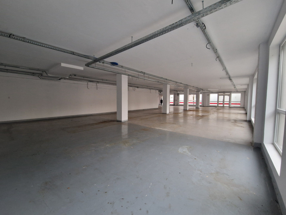 Spatiu comercial, 441 MP, Marasti