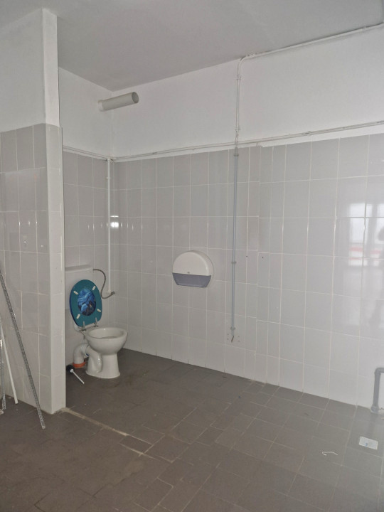 Spatiu comercial, 441 MP, Marasti