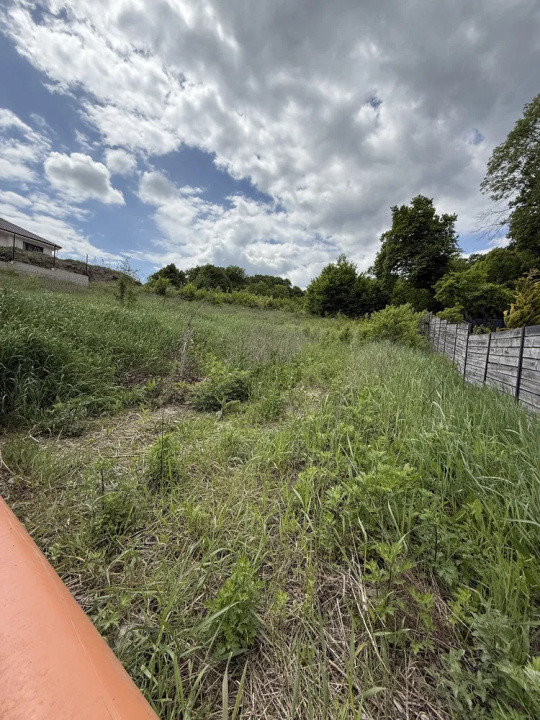 Teren autorizat în pentru casa individuala Popești Vale 848mp sub padure 