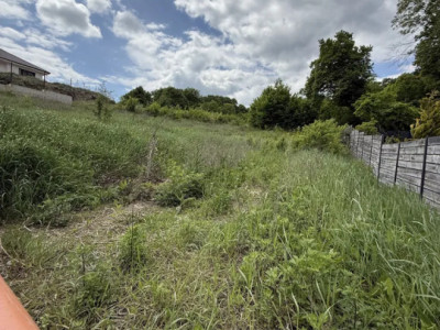 Teren autorizat în pentru casa individuala Popești Vale 848mp sub padure 