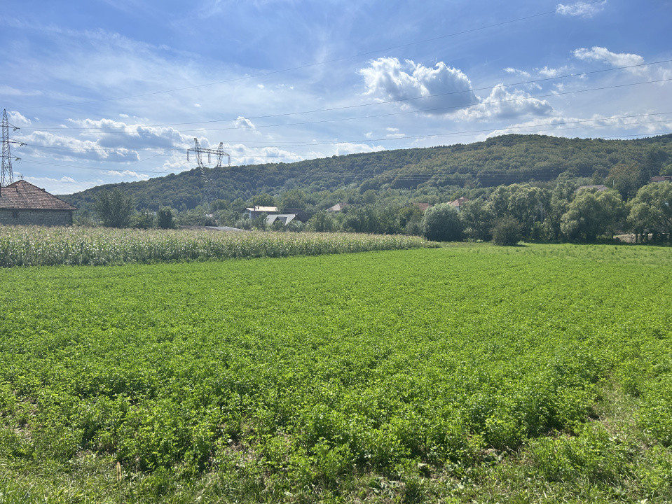 Teren intravilan 2.000 mp front 36ml Popesti Vale 