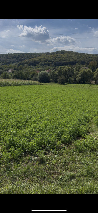 Teren intravilan 2.000 mp front 36ml Popesti Vale 