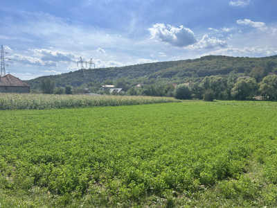 Teren intravilan 2.000 mp front 36ml Popesti Vale 