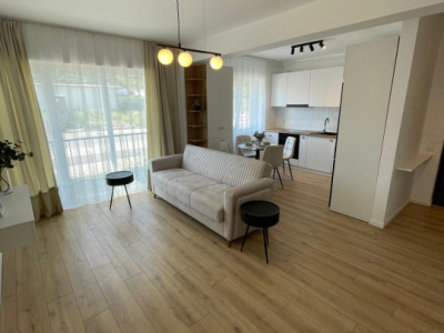 Apartament de 2 camere, 43 mp utili , zona Teilor