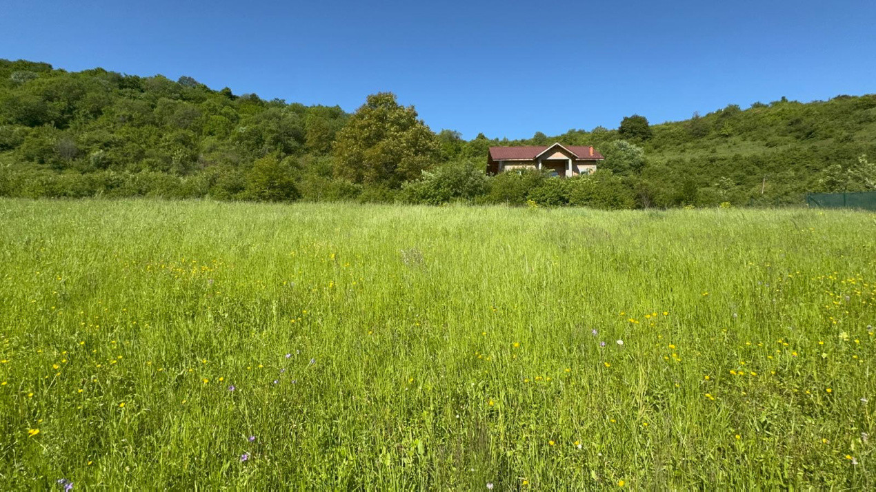 Teren de vanzare, Tăuti, 3400mp