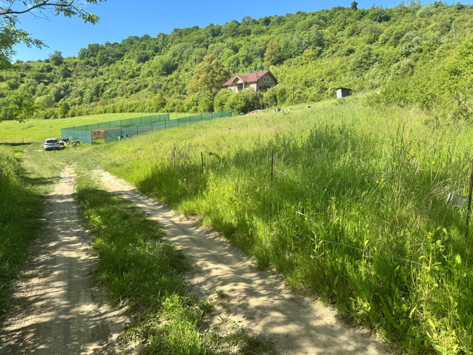 Teren de vanzare, Tăuti, 3400mp