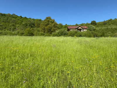 Teren de vanzare, Tăuti, 3400mp