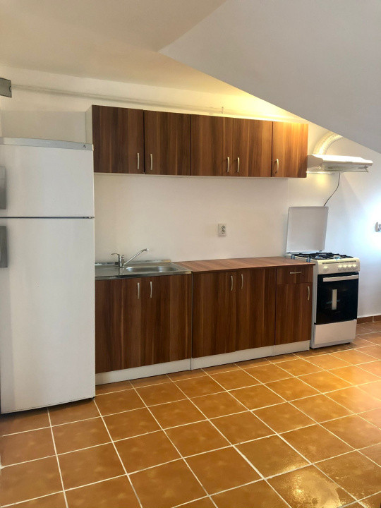 Apartament 2 camere, 53 mp, mobilat utilat, zona Muzeul Apei