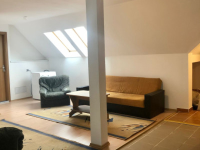 Apartament 2 camere, 53 mp, mobilat utilat, zona Muzeul Apei