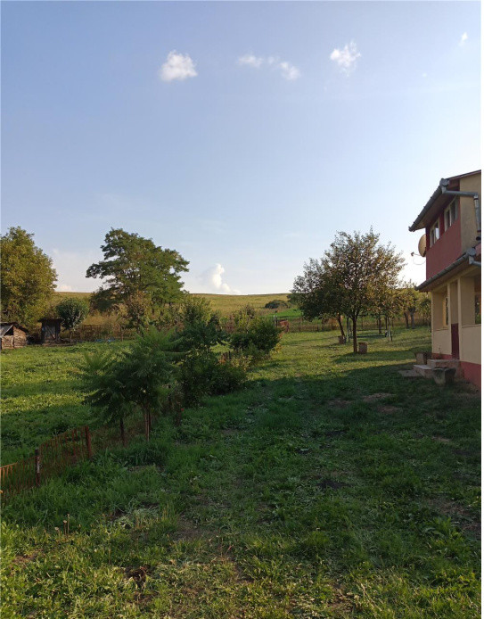 Teren 11.600 mp intravilan, cu casă și utilități pe proprietate – Câmpenești