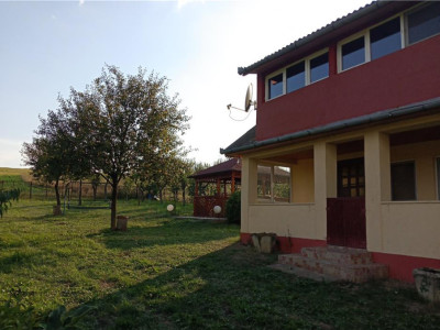 Teren 11.600 mp intravilan, cu casă și utilități pe proprietate – Câmpenești