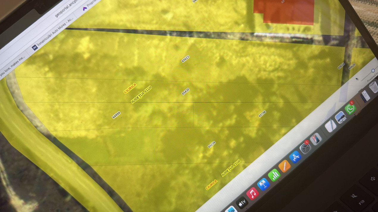 Teren 994 MP, Făget, ideal Casa Individuală