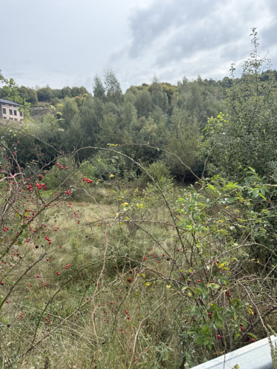 Teren 971 MP, intrare Salicea cu autorizație , Casa Individuală