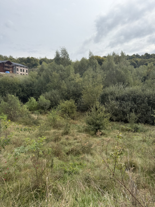 Teren 971 MP, intrare Salicea cu autorizație , Casa Individuală