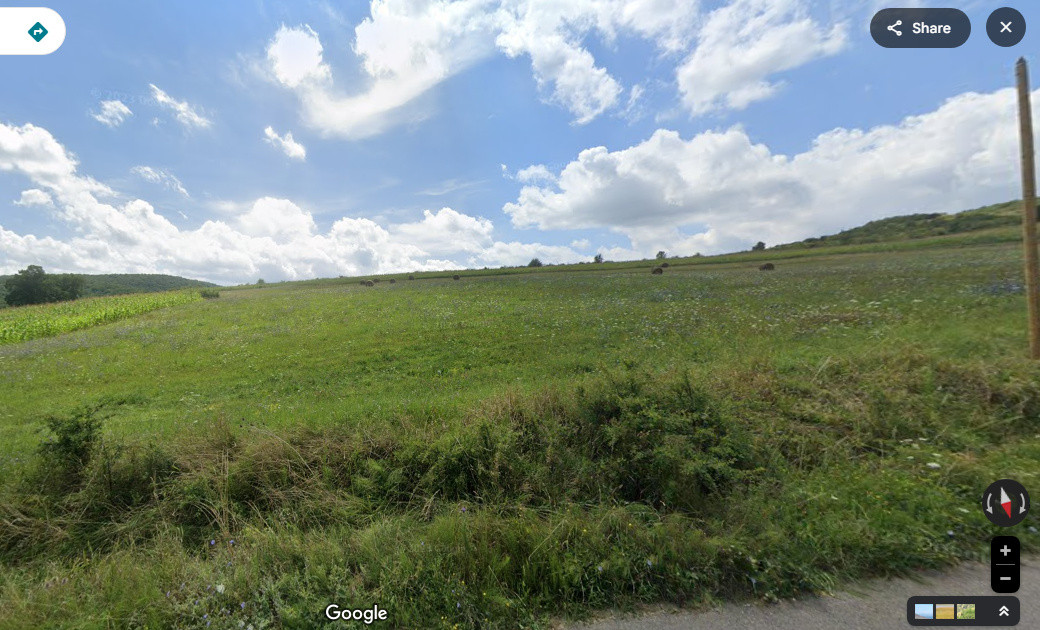 Teren intravilan de vanzare, 2900mp, Deusu Com Chinteni 