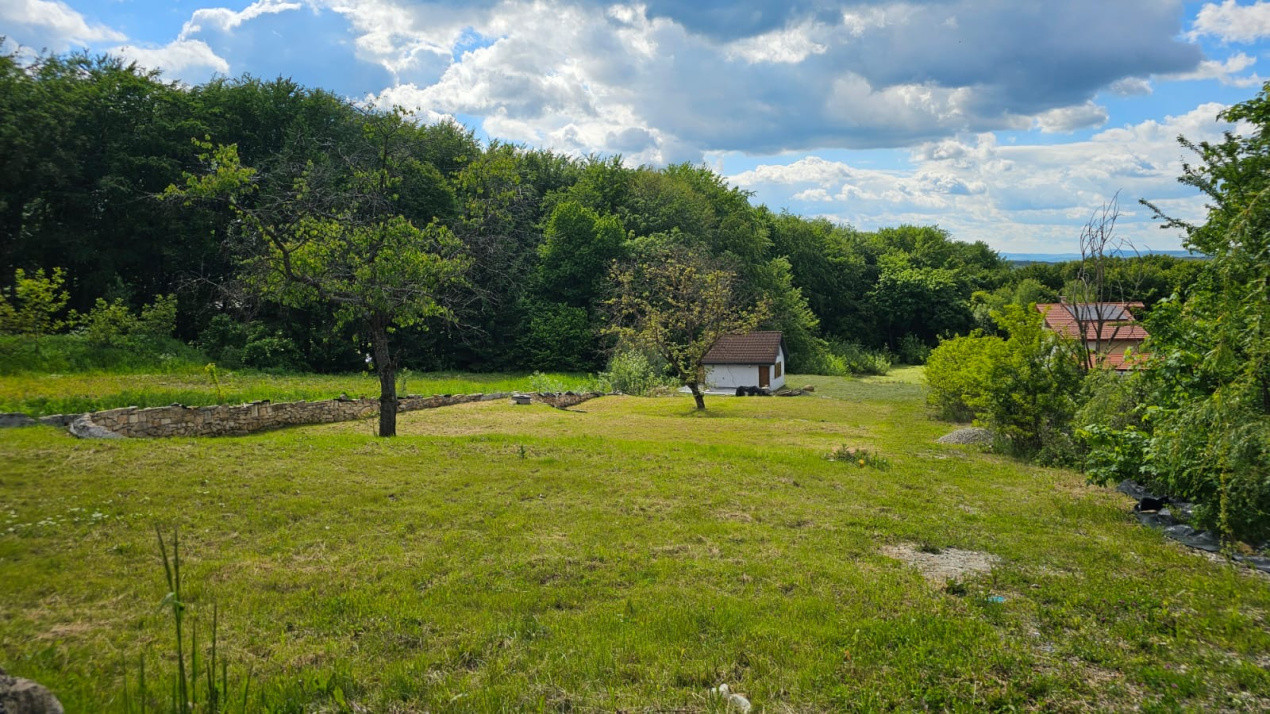 Oportunitate investiție teren 3900mp Faget