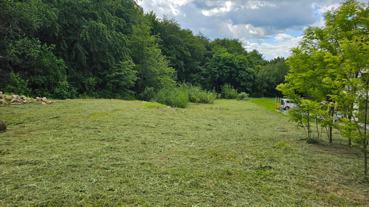 Oportunitate investiție teren 3900mp Faget