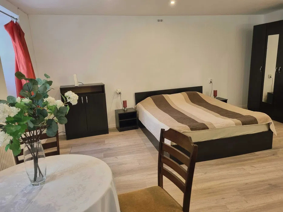 Apartament 1 camera Centru