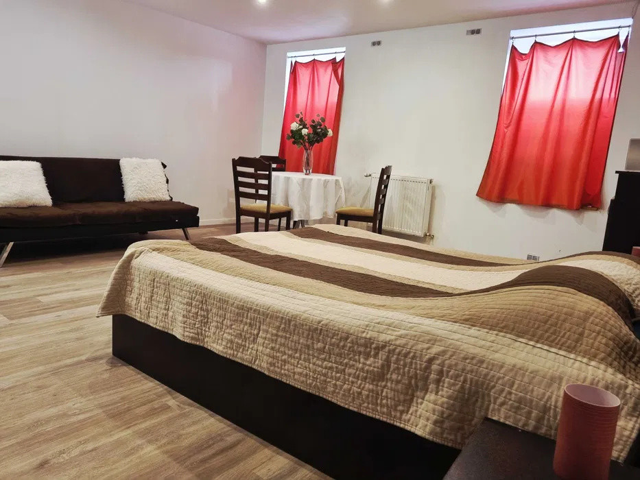 Apartament 1 camera Centru